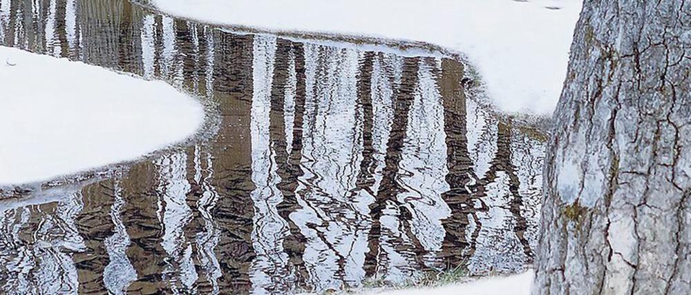 Supernatürlich. Junya Ishigamis „Watergarden“.