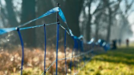 Nicht bloß für Menschen könnte der Reiseverkehr zwischen Deutschland und Polen demnächst eingeschränkt sein.