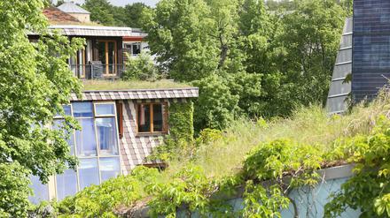 Gründächer entlasten unter anderem die Kanalisation. Hier: Die begrünten Dächer der Öko-Häuser des Architekten Frei Otto.