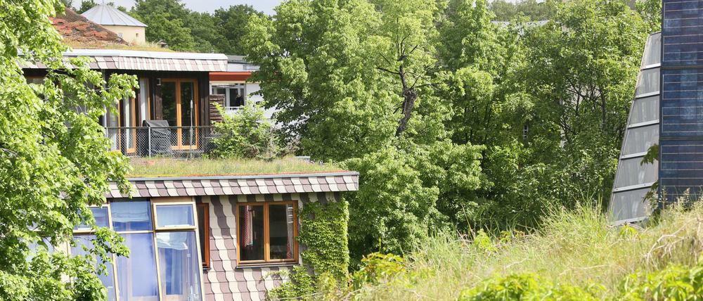 Gründächer entlasten unter anderem die Kanalisation. Hier: Die begrünten Dächer der Öko-Häuser des Architekten Frei Otto.