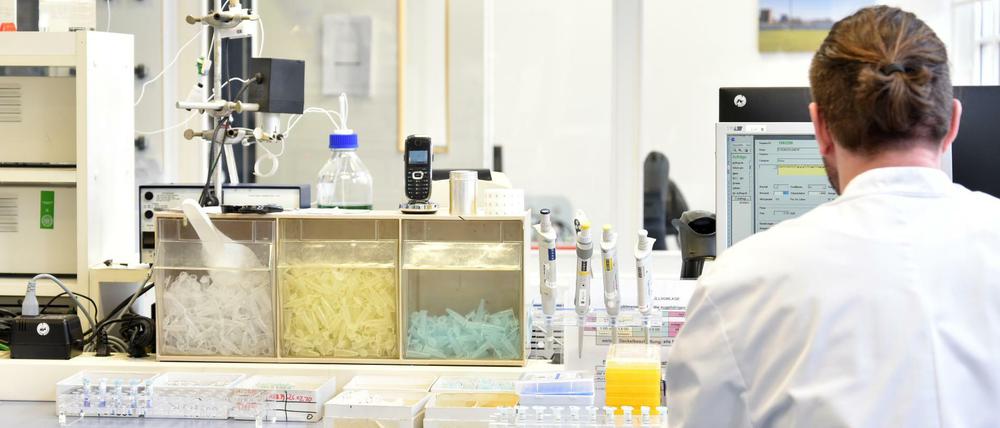 Nicht alle haben derzeit so gut zu tun wie hier die Firma TIB Molbiol aus Tempelhof: Sie stellt Covid-19-Tests her.