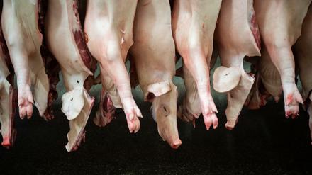 Tote Tiere: Die Arbeit im Schlachthof ist unbeliebt. Die Arbeitsbedingungen sind oft schlecht. 