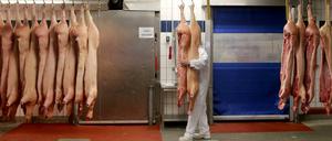 Schweinehälften warten auf Verarbeitung.