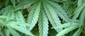 Die Berliner Polizei hatte unter anderem Wohnungen in Prenzlauer Berg und Alt-Treptow durchsucht.