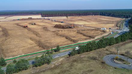 Gelände der künftigen Tesla Gigafactory im Brandenburger Grünheide.