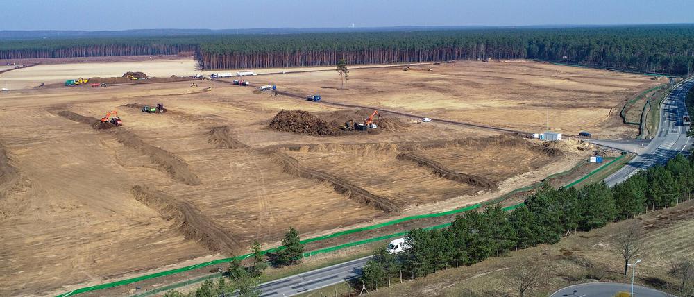 Gelände der künftigen Tesla Gigafactory im Brandenburger Grünheide.