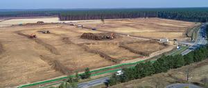 Gelände der künftigen Tesla Gigafactory im Brandenburger Grünheide.