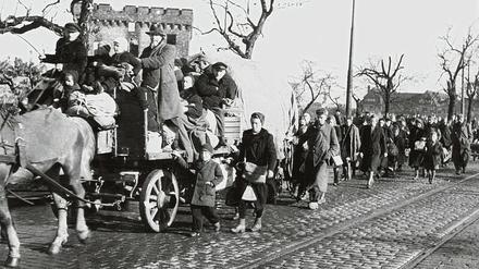 Ein Flüchtlingstreck im Jahr 1945, die Menschen gehen zu Fuß oder fahren auf einem Pferdwagen.