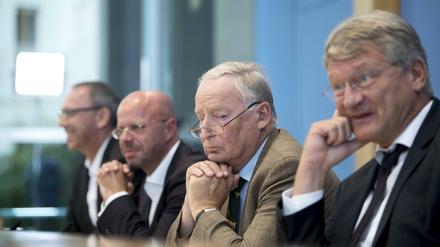 Führende Köpfe: Urban, Kalbitz, Gauland - und Meuthen.