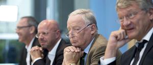 Führende Köpfe: Urban, Kalbitz, Gauland - und Meuthen.