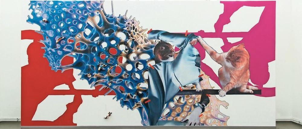 Katzenkoller. eine Breitwandcollage von Barbara Breitenfellner.