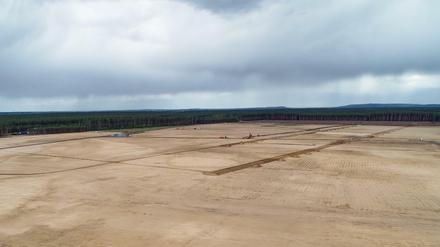 Auf diesem Gelände nahe Berlin will Tesla-Chef Elon Musk seine Fabrik für Elektroautos errichten.