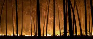 Im Frühjahr dieses Jahres hatten Brandenburgs Landkreise die Waldbrandgefahrenstufe noch hochgestuft.