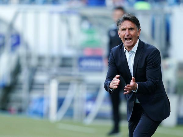 Engagiert bei der Sache: Bruno Labbadia feierte einen blendenden Einstand als neuer Hertha-Coach.