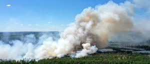 Brandenburg: Bei Hohenleipisch brennt der Wald im Loben-Moor