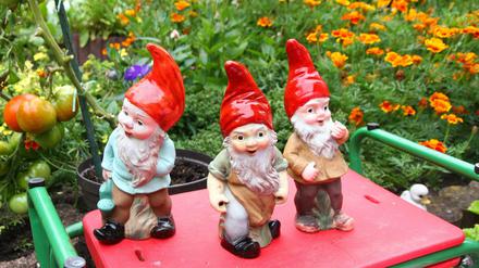 Ohne sie geht in der Parzelle gar nichts: die Gartenzwerge.