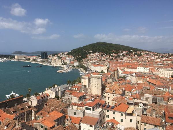 In der Bucht vor Split schwimmen nun wieder Delfine.
