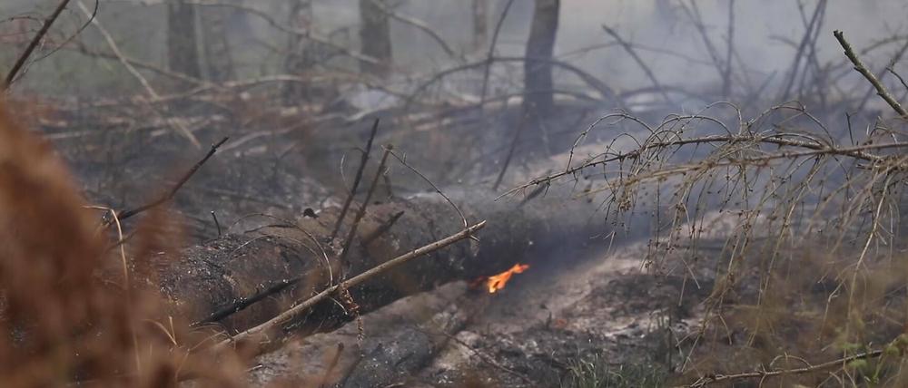 Die Ausdehnung des Großbrandes in einem Moorgebiert im Brandenburger Plessa ist gestoppt.