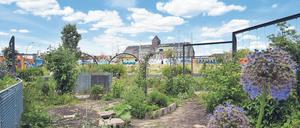Im Stadtgarten beim Künstlerbahnhof Moabit können Besucher Boule spielen oder Gemüse anpflanzen.