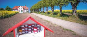 Ein Selbstbedienungsstand vor dem Ferienhaus „Einhusen“ auf der Ostseeinsel Poel. Mecklenburg-Vorpommern beendete noch vor Pfingsten das mehrwöchige Einreiseverbot für auswärtige Touristen. 