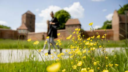 Butterblumen blühen in Wittstock/Dosse vor der Alten Bischofsburg, Spaziergängerinnen gehen vorbei.