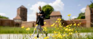 Butterblumen blühen in Wittstock/Dosse vor der Alten Bischofsburg, Spaziergängerinnen gehen vorbei.