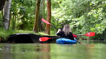 Touristen fahren in einem Paddelboot über ein Spreewald-Fließ im Hochwald in Burg Kauper (Brandenburg).