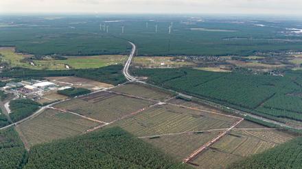 Auf diesem Gelände in Grünheide nahe Berlin soll die neue Tesla-Fabrik entstehen.