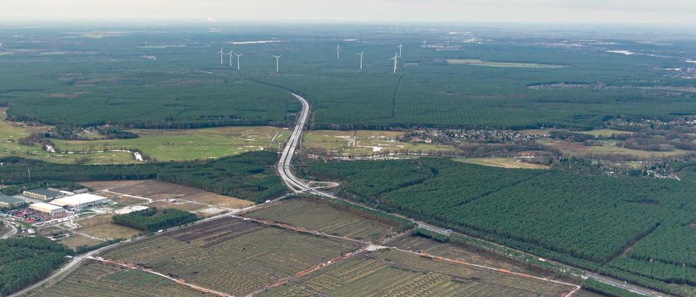 Auf diesem Gelände in Grünheide nahe Berlin soll die neue Tesla-Fabrik entstehen.
