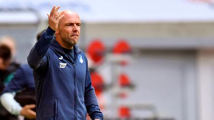 Alfred Schreuder kam vor der Saison nach Hoffenheim. 