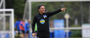 Ein Torverhältnis von 11 zu 3 aus fünf Spielen - unter Bruno Labbadia kann Hertha auf die Europa-Pokal-Plätze schauen.
