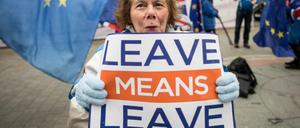 Gegner des Brexits protestieren mit Flaggen der Europäischen Union und einem Schild mit der Aufschrift «leave means leave» («Verlassen heißt verlassen») vor dem Parlament.