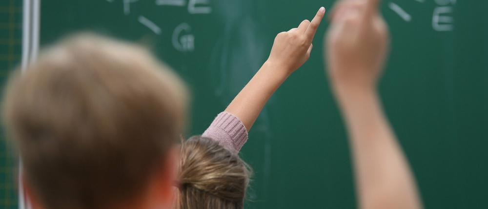 Für viele Kinder beginnt in diesem Sommer ihre Schullaufbahn.