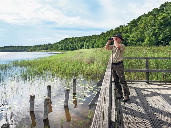 Neben den 1000-jährigen Eichen gibt es noch viel Natur zu sehen in der Mecklenburger Seenplatte.