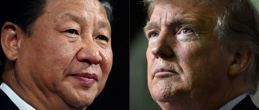 Die Gegenspieler im neuen Kalten Krieg sind Chinas Präsident Xi und US-Präsident Trump.