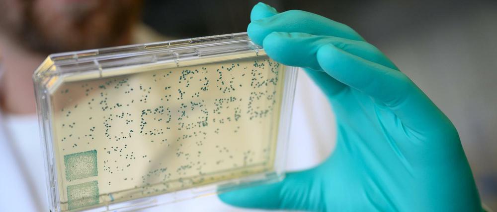 In den Tübinger Labors von Curevac wird mit Hochdruck an einem Impfstoff gegen Covid-19 gearbeitet. Jetzt geght die RNA-Vakzine in erste Tests an Menschen.