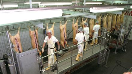 Billigkonsum ist weder gut für Menschen noch für Tiere: Blick in einen Großschlachthof