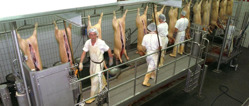 Billigkonsum ist weder gut für Menschen noch für Tiere: Blick in einen Großschlachthof