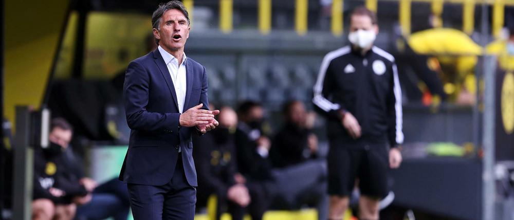 Man kennt sich. Bruno Labbadia trifft mit Hertha BSC auf Bayer Leverkusen - den ersten Verein, den er in der Bundesliga trainiert hat.