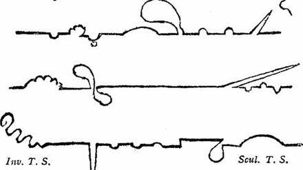 Mustererkennung. So zeichnete Laurence Sterne, Autor des berühmten "Tristram Shandy" die Plotlinie seines Romans schon 1759.