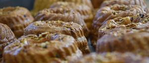 Aus Germteig und mit Nüssen obenauf: So sieht er aus, der ideale Gugelhupf aus Hefeteig. 