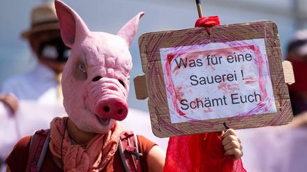 Demonstranten gehen gegen Tönnies auf die Straße.