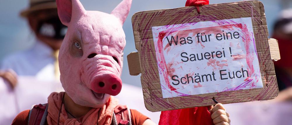 Demonstranten gehen gegen Tönnies auf die Straße.