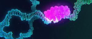 Ändert sich das Erbgut (blau), dann hat das Auswirkungen auf das ganze von Sars-CoV-2-Virus, etwa wie Proteine (pink) daran binden. 