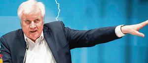 Drohszenario. In dem von Bundesinnenminister Horst Seehofer inkriminierten „taz“-Text ging es darum, wo Polizisten arbeiten könnten, wenn die Polizei abgeschafft würde, der Kapitalismus aber nicht. Es wurde auch die Option der Mülldeponie aufgegriffen. 