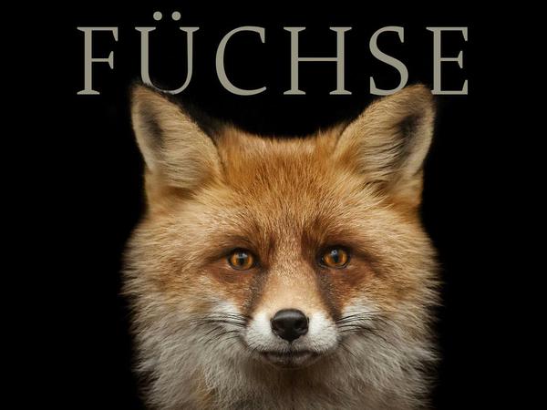 Buchcover von Adele Brand: Füchse. Unsere wilden Nachbarn. C. H. Beck, 208 Seiten, 22 €