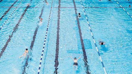 Freie Bahn. Im Schwimmbecken ist momentan viel Platz.