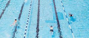 Freie Bahn. Im Schwimmbecken ist momentan viel Platz.