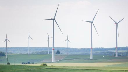 Windkraft erzeugte mit Abstand am meisten Ökostrom.