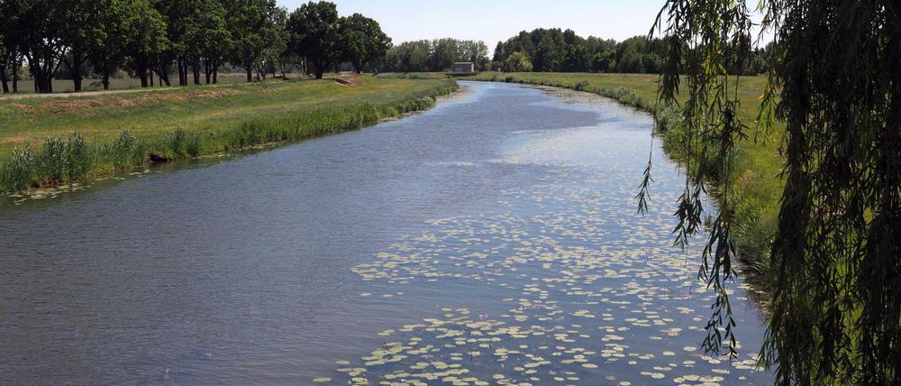 Die Schwarze Elster fließt durch den Kreis Elbe-Elster, die zu den Regionen mit akutem Wassermangel gehört.